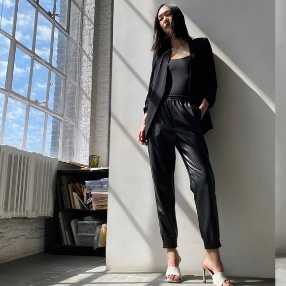 NWOT Aritzia Babaton vegan leather joggers - Picture 1 of 5